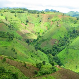 kalaw-banner